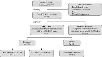 A real-life treatment cohort of pancreatic neuroendocrine tumors: High-grade increase in metastases confers poor survival